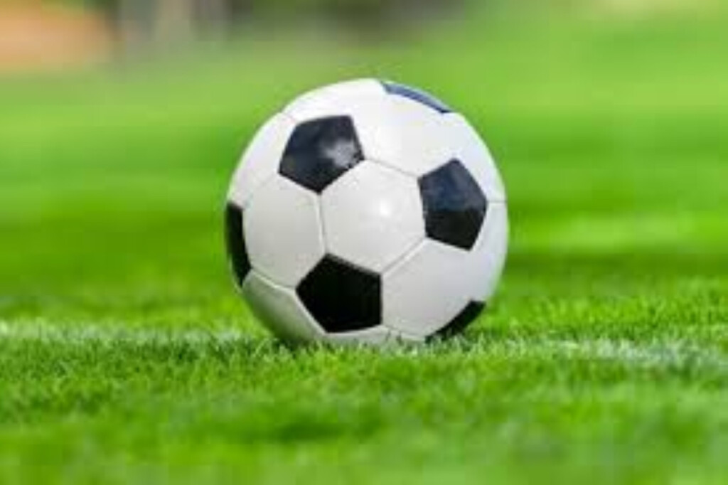 National Round of Primary School Gold Cup Football Kicks Off 1740234560 National Round of Primary School Gold Cup Football Kicks Off