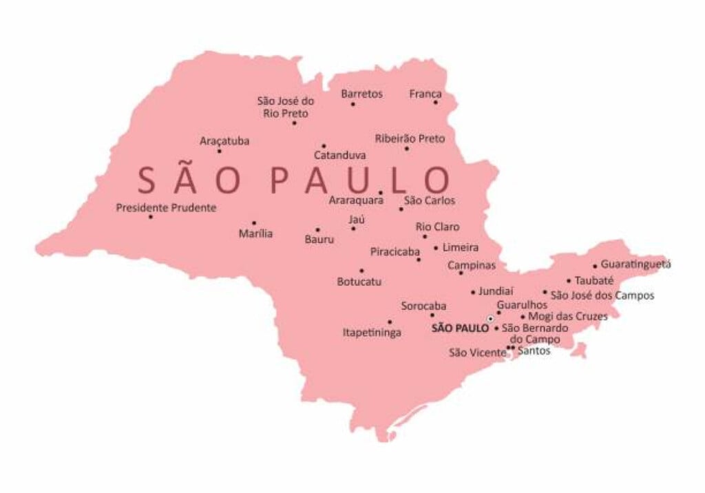 Twelve University Students Killed in Brazil Bus Collision Officials 1740156225 Twelve University Students Killed in Brazil Bus Collision: Officials