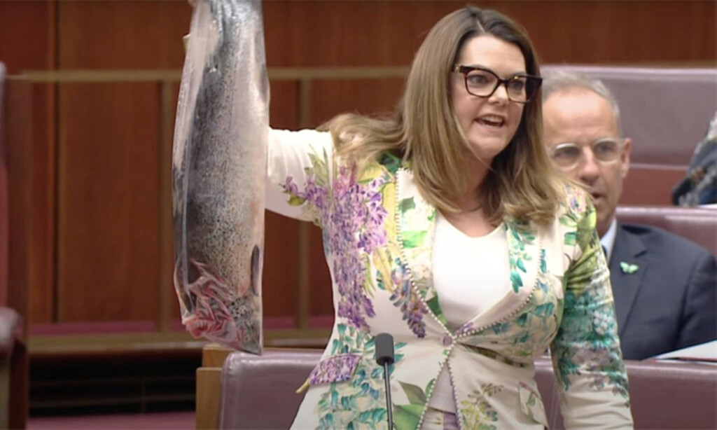 Australian Lawmaker Stuns Senate with Dead Salmon Protest