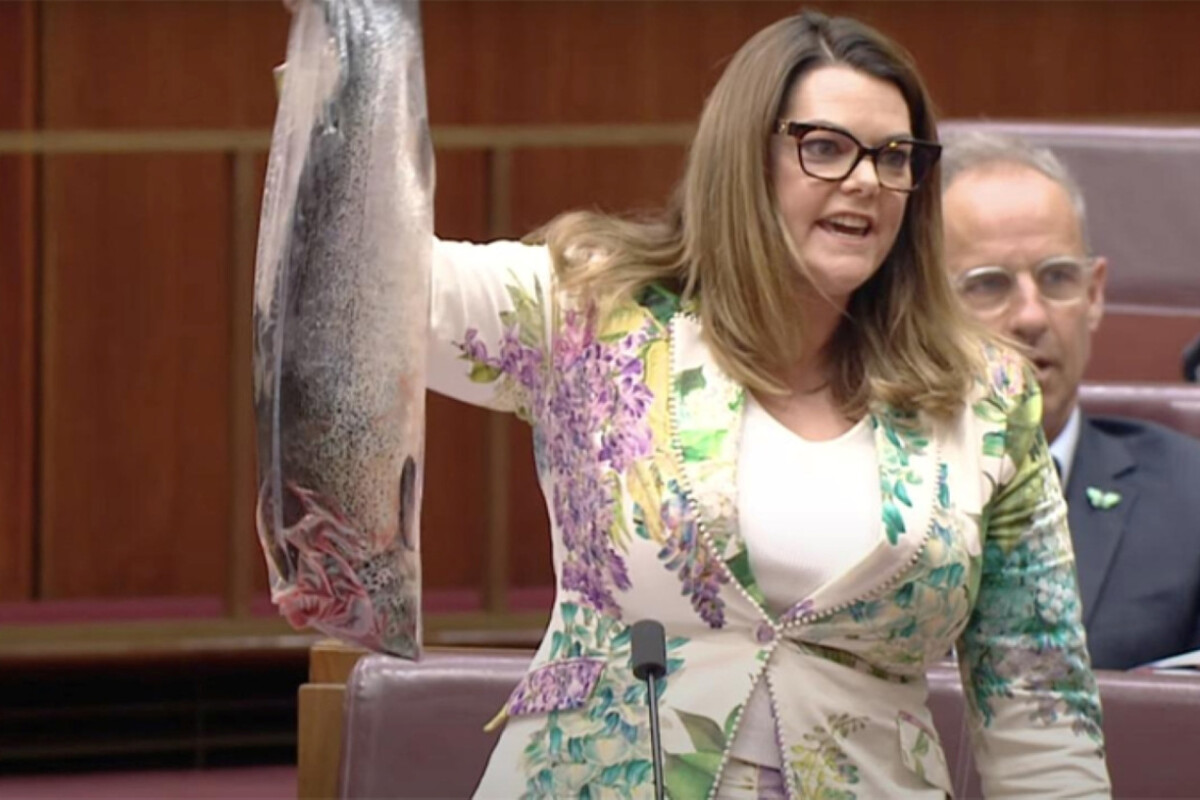 Australian Lawmaker Stuns Senate with Dead Salmon Protest