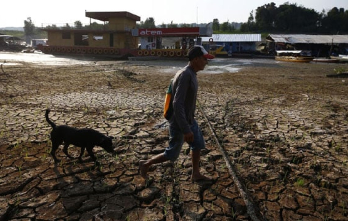 Brazil’s Freshwater Reserves Diminishing Amid Climate Change and Deforestation