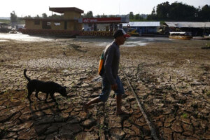 Brazil’s Freshwater Reserves Diminishing Amid Climate Change and Deforestation