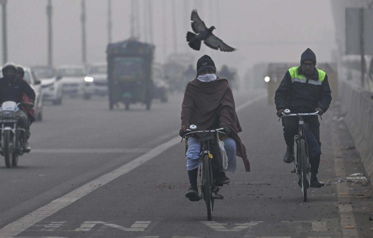 Delhi Bans Refuelling of Old Vehicles to Combat Air Pollution