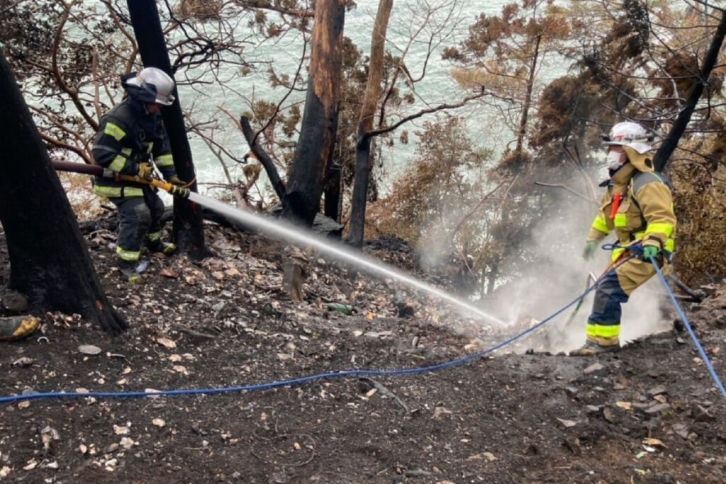 Japans Worst Wildfire in 50 Years Brought Under Control 1741527128 Japan’s Worst Wildfire in 50 Years Brought Under Control