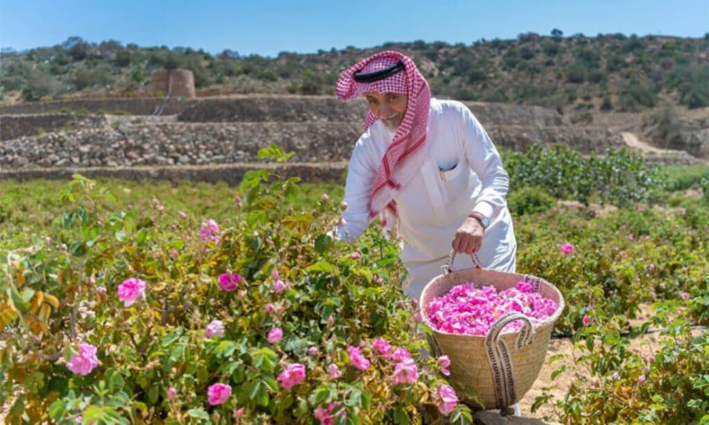 Saudi Arabia Promotes Taif as the Jewel of the 'Umrah Plus' Experience - By Tanzim Anwar