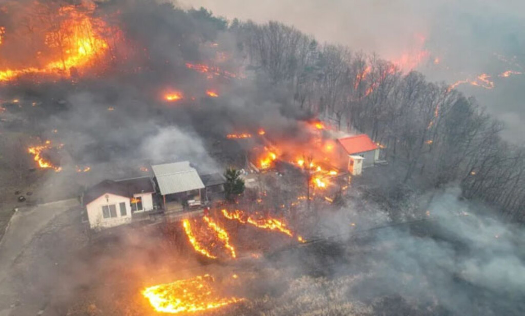 South Korea Reports 18 Dead as Devastating Wildfires Continue to Rage 1742993548 South Korea Reports 18 Dead as Devastating Wildfires Continue to Rage