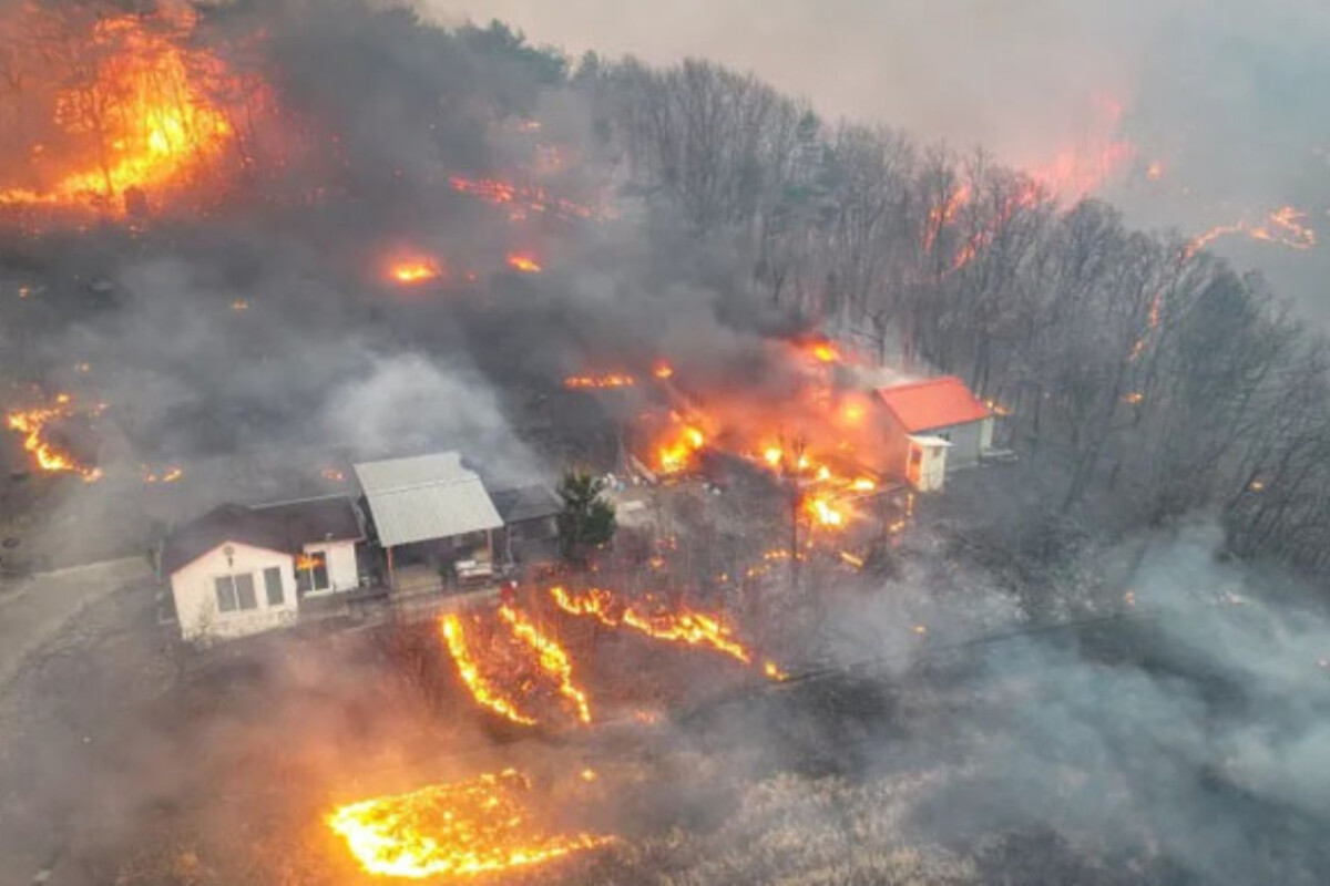 South Korea Reports 18 Dead as Devastating Wildfires Continue to Rage