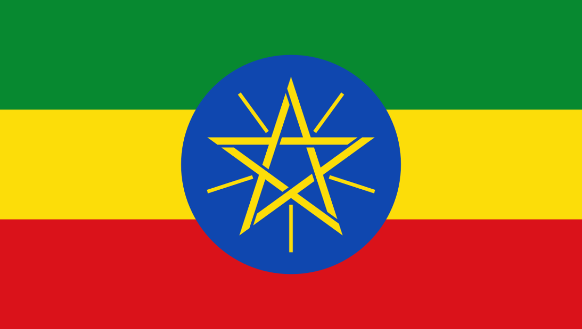 Seven Ethiopian Journalists Detained on Terrorism Charges Following Broadcast of Rape Allegation