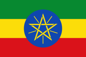 Seven Ethiopian Journalists Detained on Terrorism Charges Following Broadcast of Rape Allegation