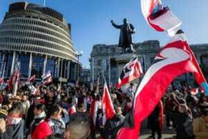New Zealand Parliament Rejects Controversial Treaty Principles Bill