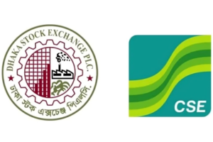 Price Decline in Large-Cap Stocks Drives Market Down