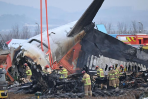 Families of Jeju Air Crash Victims Sue South Korean Minister and Airline Chief