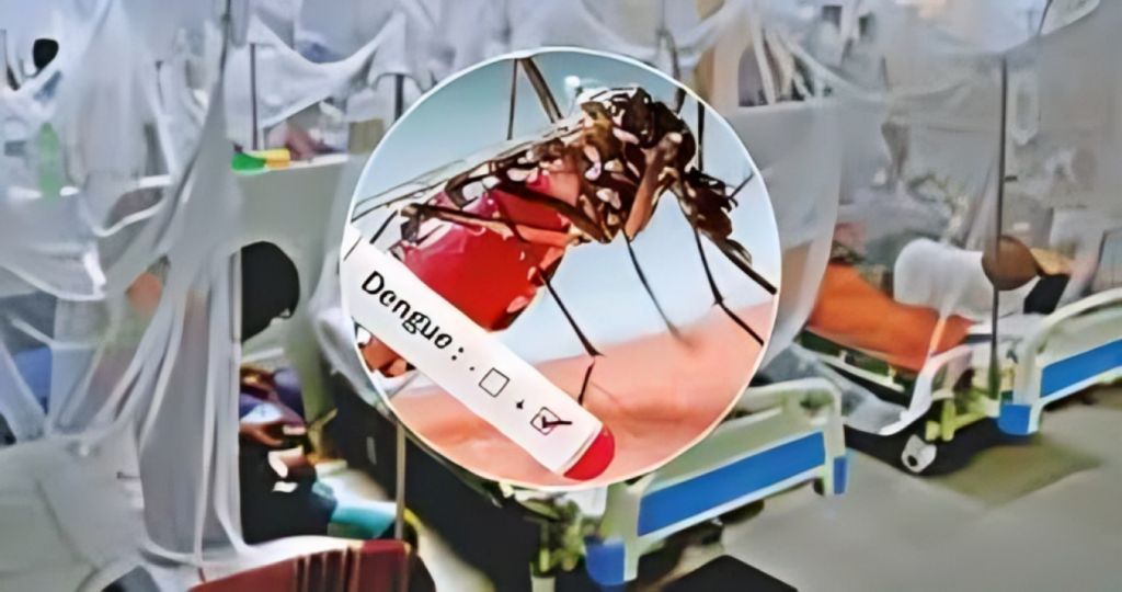280 New Dengue Cases and One Death Recorded in Last 24 Hours 1753363013 280 New Dengue Cases and One Death Recorded in Last 24 Hours