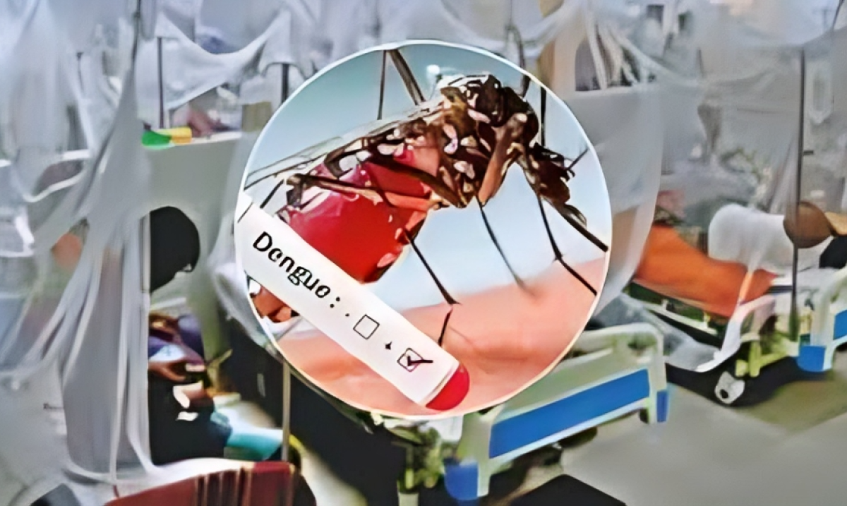 280 New Dengue Cases and One Death Recorded in Last 24 Hours