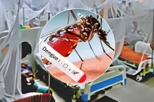 280 New Dengue Cases and One Death Recorded in Last 24 Hours