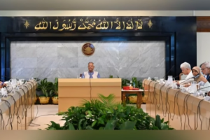 Advisory Council Approves Draft Ordinance on City Corporation Reform