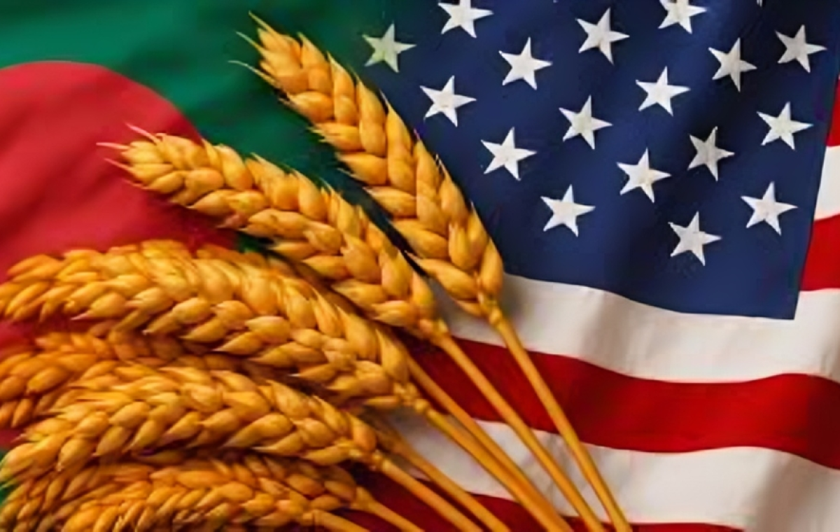 Bangladesh Approves Import of 220,000 Tonnes of Wheat from the United States