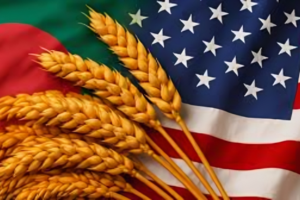 Bangladesh Approves Import of 220,000 Tonnes of Wheat from the United States