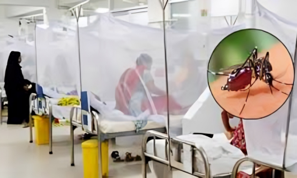 Dengue Kills 3 More in a Day; 331 Hospitalised Nationwide 2 Dengue Kills 3 More in a Day 331 Hospitalised Nationwide 1753530750 Dengue Kills 3 More in a Day; 331 Hospitalised Nationwide
