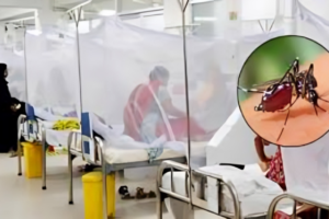 Dengue Kills 3 More in a Day; 331 Hospitalised Nationwide