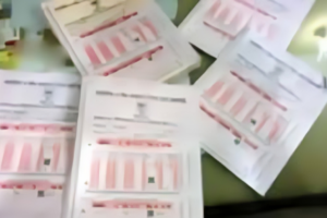 Eight Examiners Barred for Life Over SSC, HSC Evaluation Negligence