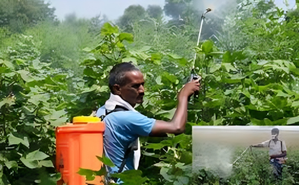Hazardous Pesticides Threaten Public Health in Rajshahi Warn Experts 1753870052 Hazardous Pesticides Threaten Public Health in Rajshahi, Warn Experts