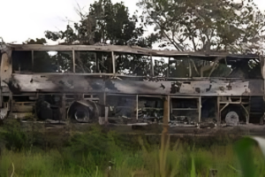 Ivory Coast Bus Collision Claims 16 Lives, 51 Injured