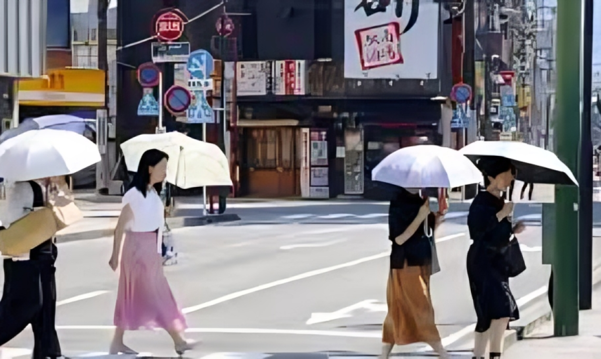 Japan Records New All-Time High Temperature of 41.2°C Amid Global Heat Crisis