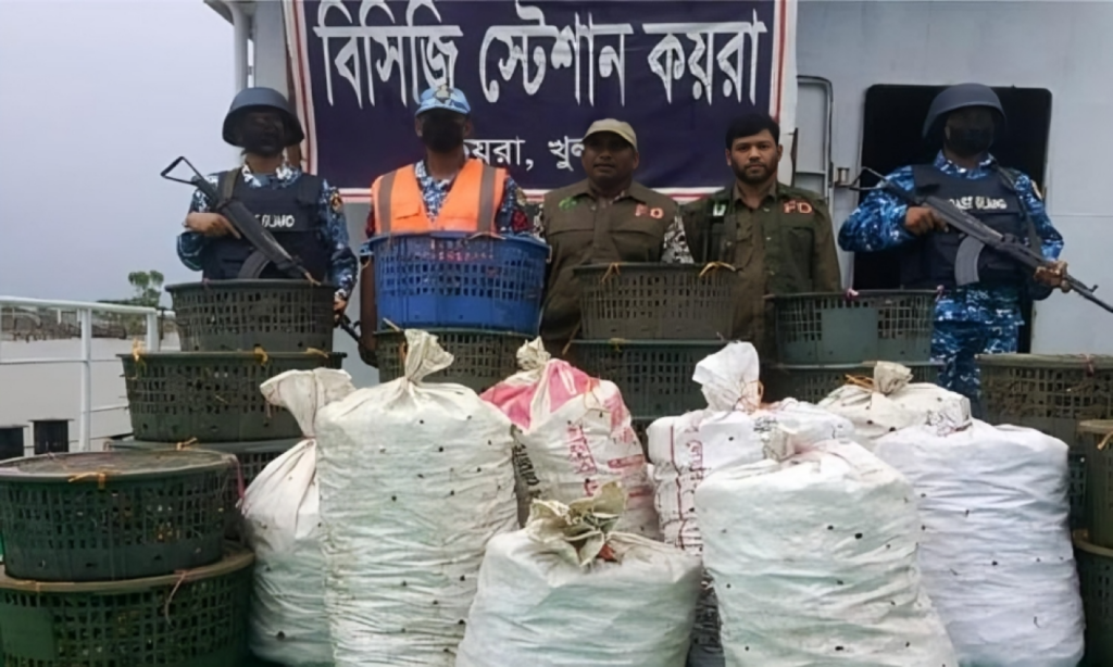 Joint Forces Seize 700 Kilograms of Crab and Trawler in Khulna 1753612260 Joint Forces Seize 700 Kilograms of Crab and Trawler in Khulna