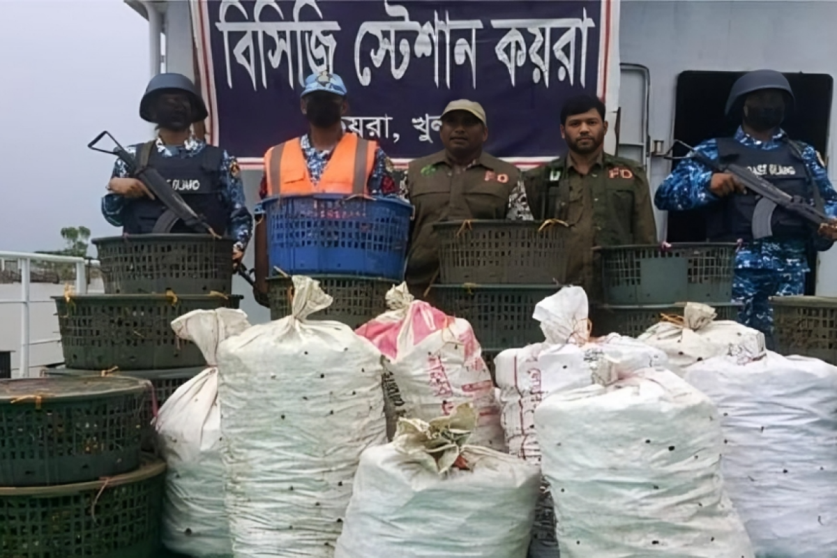 Joint Forces Seize 700 Kilograms of Crab and Trawler in Khulna