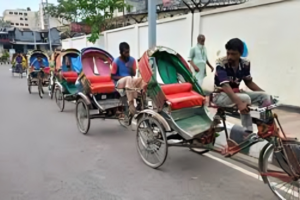 Mandatory Registration and Driving Licences for Electric Rickshaws