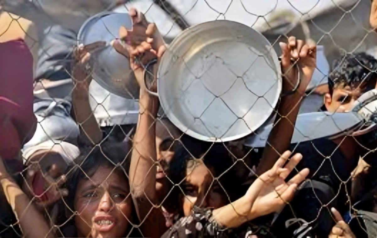 More Than 100 NGOs Warn of ‘Mass Starvation’ Spreading Across Gaza