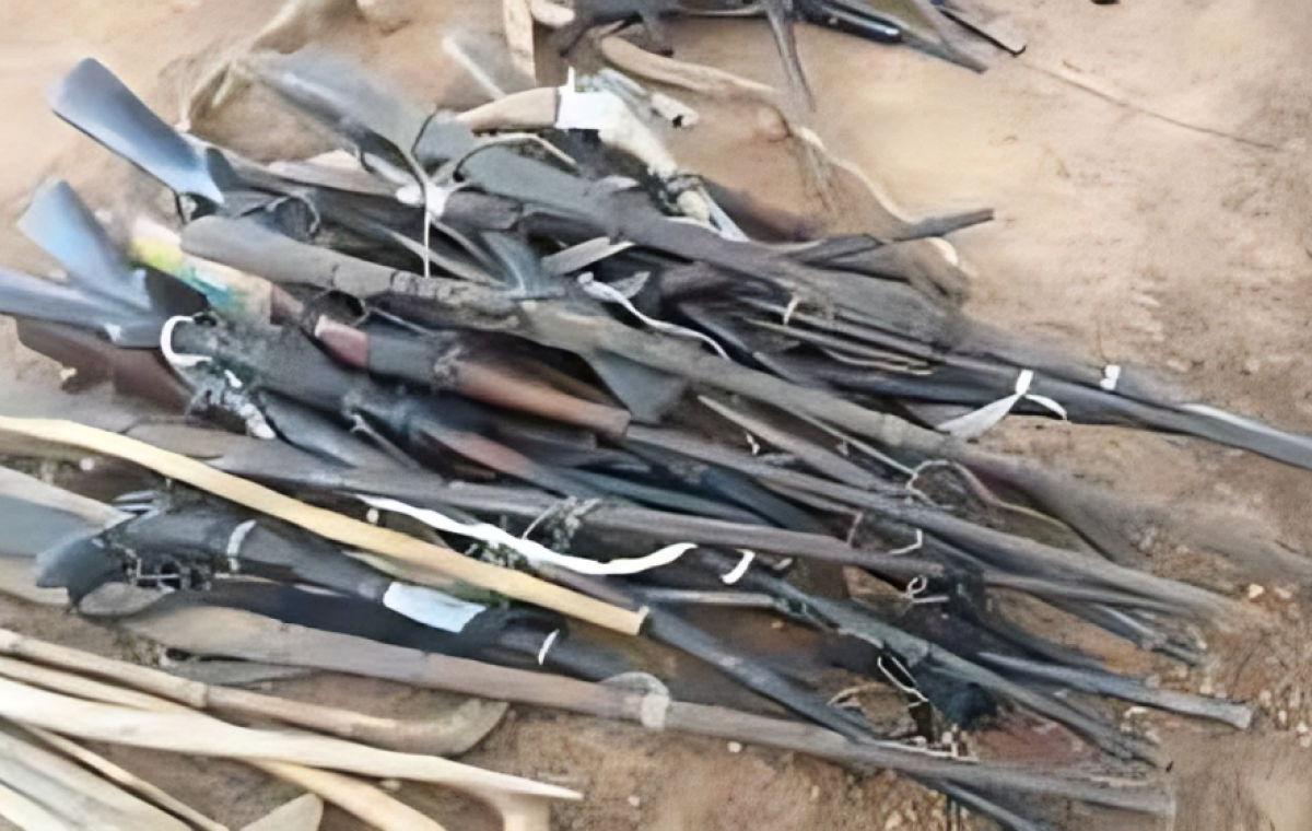 Nigerian Troops Kill 45 Bandits in Niger State Ambush: Report