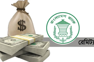 Remittance Inflow Increases by 23.97% in First 26 Days of July