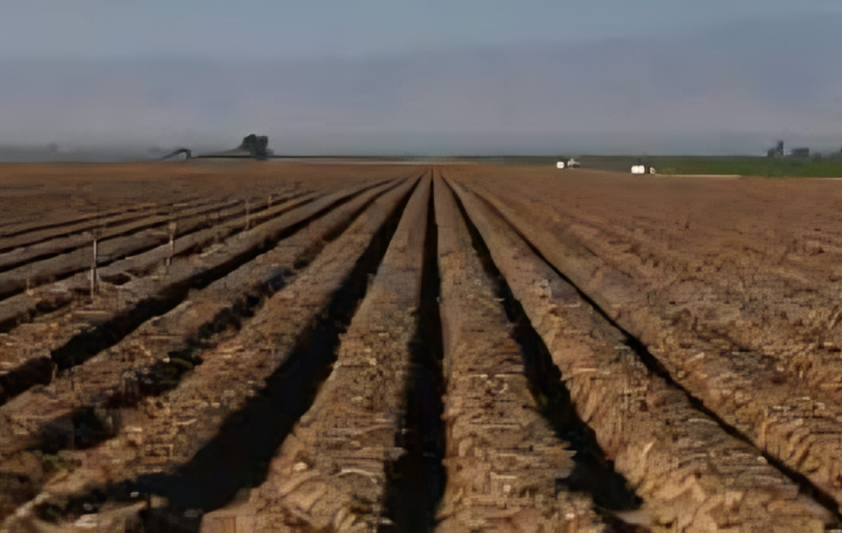 Trump’s Immigration Raids Threaten US Food Supply, Say Farmers