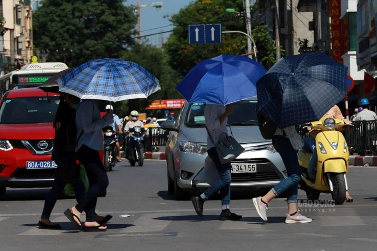 Turkey Hits Record 50.5°C in the Southeast
