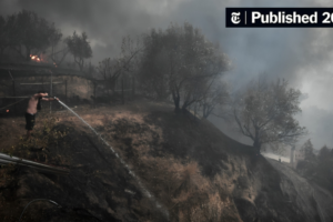 Two Dead as Cyprus Grapples with Wildfire Amid Scorching Heat