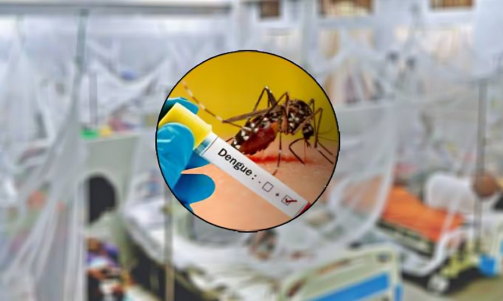 Two Dengue Patients Die 394 Hospitalised in Past 24 Hours 1753705686 Two Dengue Patients Die, 394 Hospitalised in Past 24 Hours