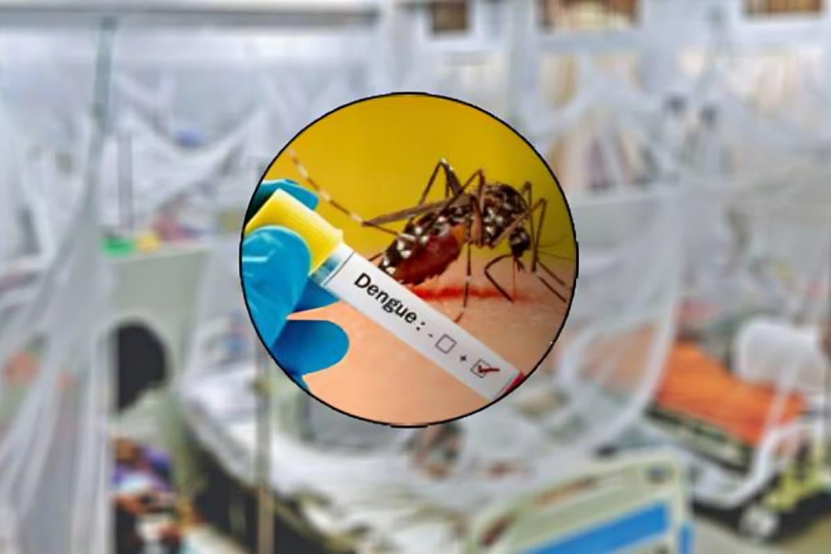 Two Dengue Patients Die, 394 Hospitalised in Past 24 Hours