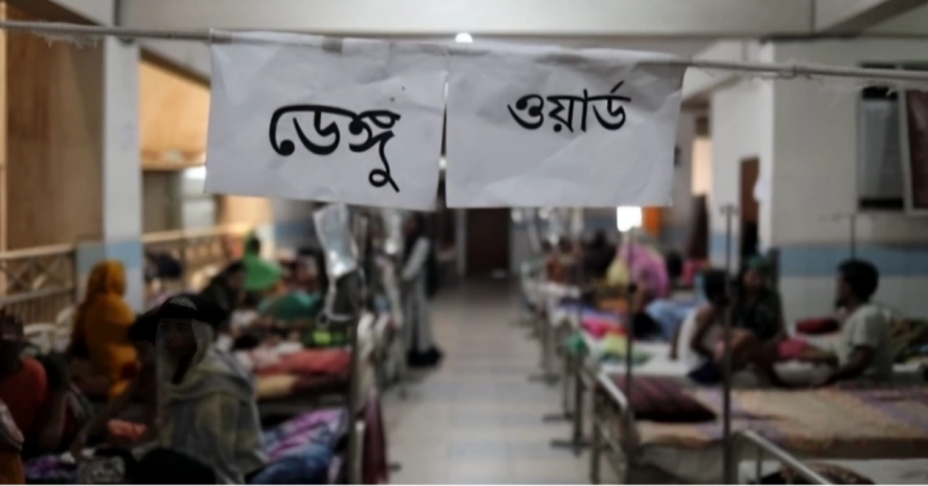 Two More Deaths from Dengue in a Day 386 Hospitalised Across the Country 1753879631 Two More Deaths from Dengue in a Day; 386 Hospitalised Across the Country