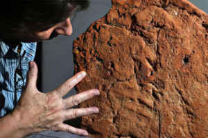 UK Museum Discovers 4,000-Year-Old Handprint on Egyptian Artefact