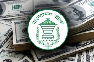 Bangladesh’s foreign exchange reserves total $30.08 billion, Bangladesh Bank reports.