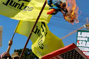 Brazilians Burn Trump Effigies as Tariffs Spark Widespread Anger