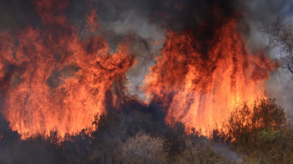 Canada Deploys Troops to Eastern Province as Wildfire Damage Escalates 1754631501 Canada Deploys Troops to Eastern Province as Wildfire Damage Escalates