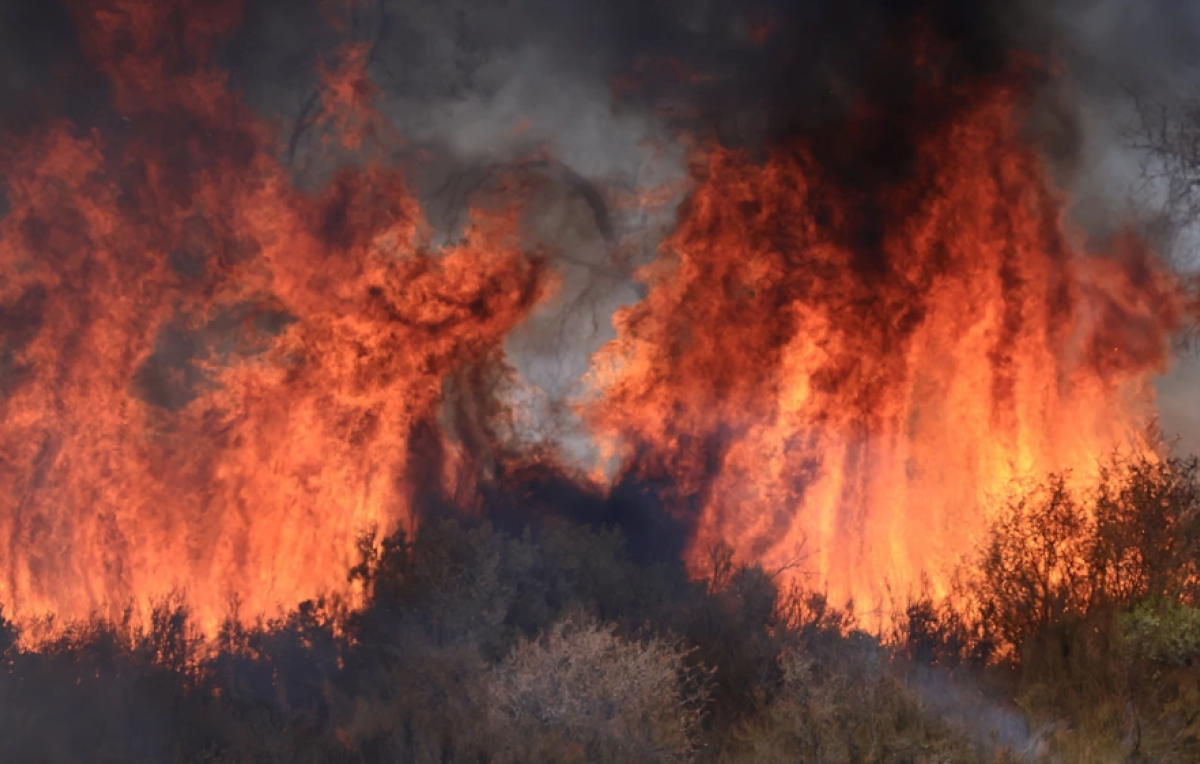 Canada Deploys Troops to Eastern Province as Wildfire Damage Escalates
