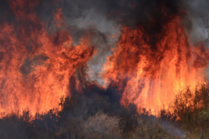 Canada Deploys Troops to Eastern Province as Wildfire Damage Escalates