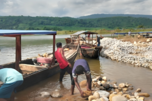 Case Filed Over Stone Looting in Bholaganj: 1,500 Accused