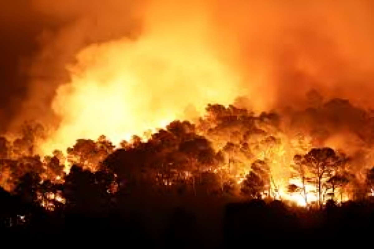 France’s Massive Wildfire to Burn for Days Despite Being Under Control, Say Authorities