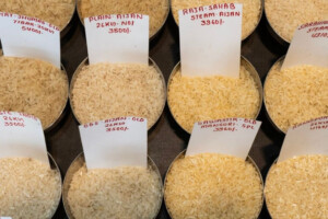 Global Rice Prices Fall While Domestic Market Sees Rise