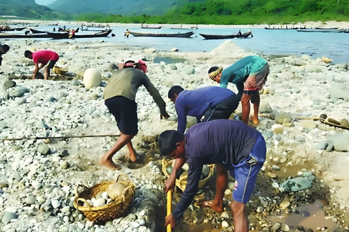 Investigation Committee Formed After Sada Pathar Stone Looting